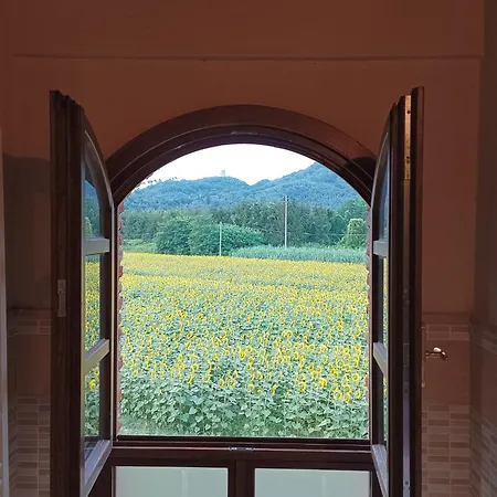 Casale Del Sole * Pugnano