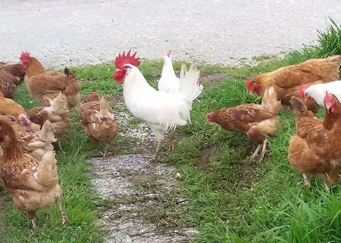 Casale Del Sole Pugnano