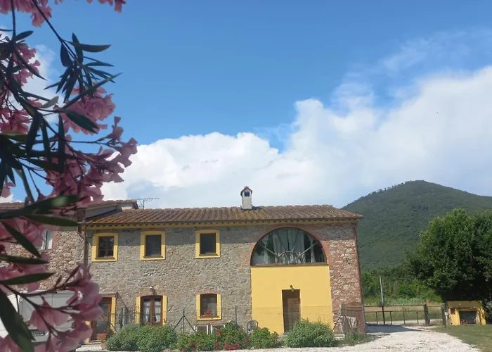 Casale Del Sole Gospodarstwo agroturystyczne