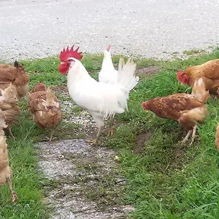 Casale Del Sole Pugnano